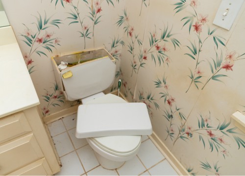 Broken Toilet Repair