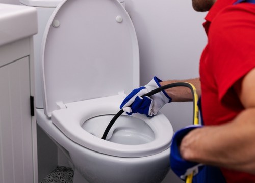 Clogged Toilet