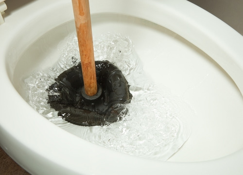 Toilet Drain