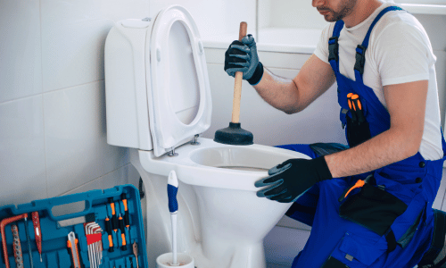 Plumber Clogged toilet repair